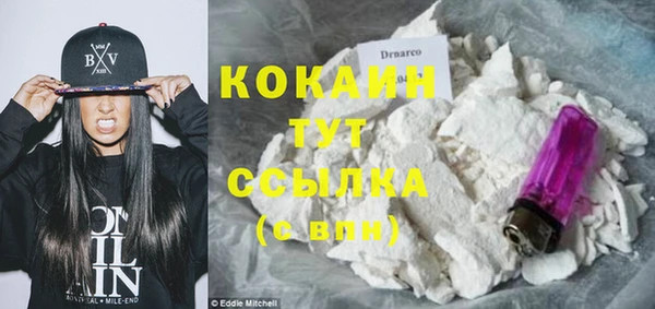 тгк Горняк