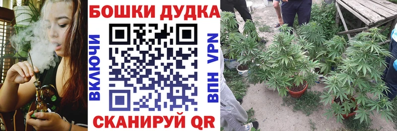 Бошки Шишки SATIVA & INDICA  Ершов 